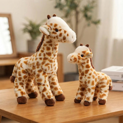 Peluche | Douceur Intemporelle - Jeu Math